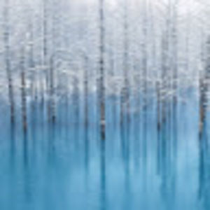 Meet your Posher, Jl